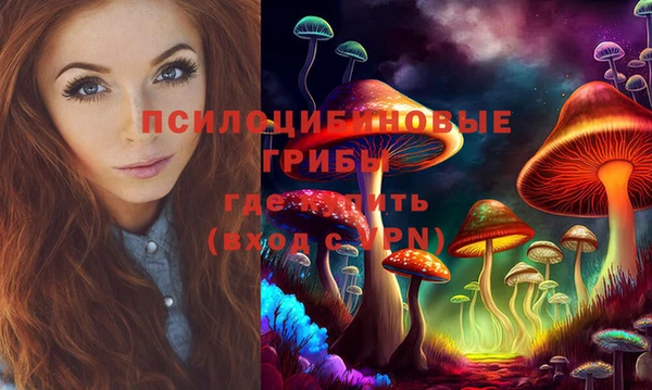 ешки Армянск