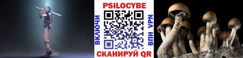Галлюциногенные грибы ЛСД  где купить наркоту  Петровск 